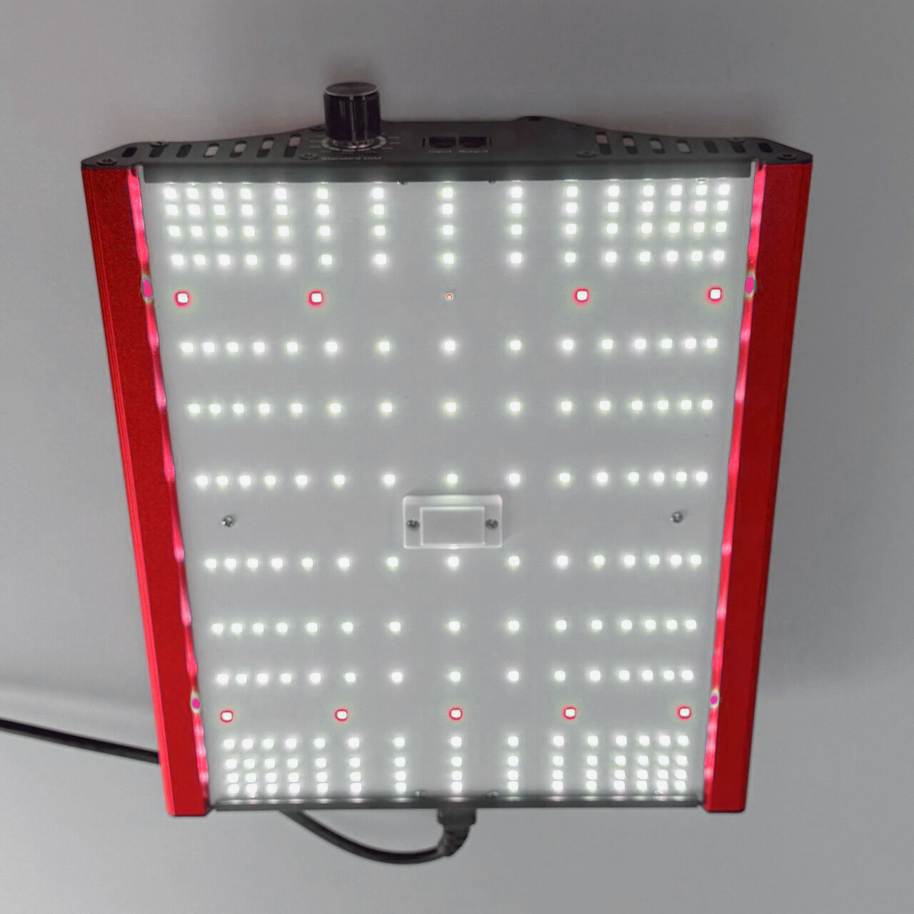 Grow LED CASSY Cara 100 Watt