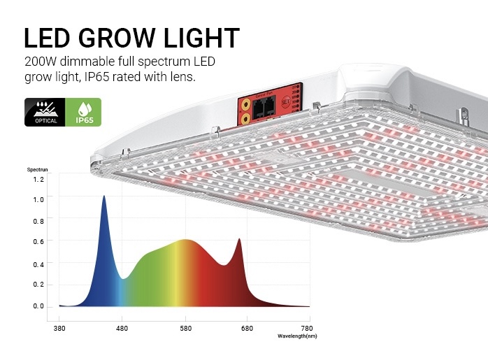 91c12441-a5ae-492c-8fcf-f77e22cfcfa7