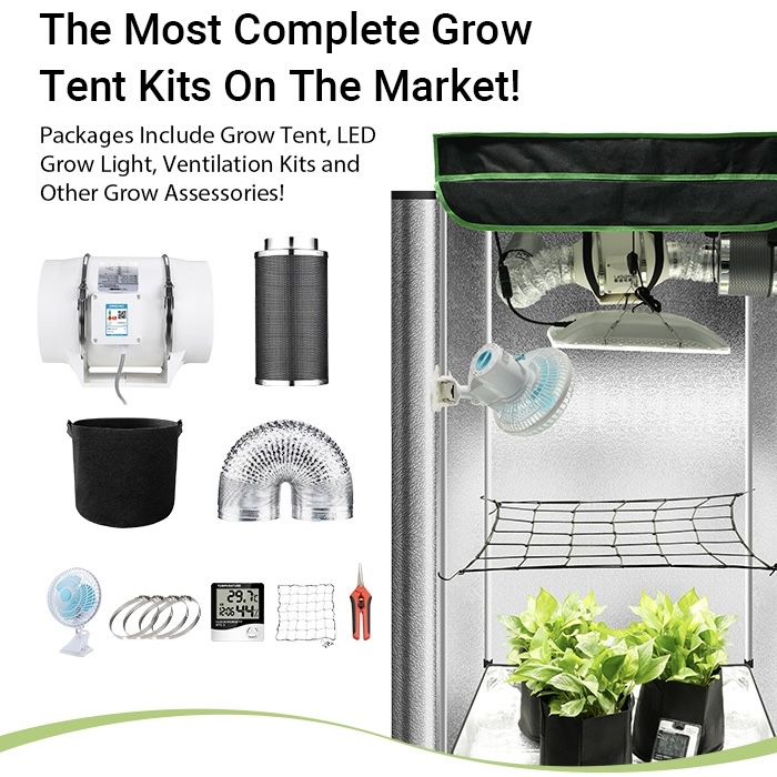 91c12441-a5ae-492c-8fcf-f77e22cfcfa7