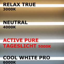 Bürolampen LED Panel MARIA 62cm 50W, Active Pure Tageslicht, PHILIPS CertaDrive