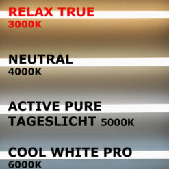 LED Bürolampen LED Panel MAREN 120cm 48W, Relax True, PHILIPS CertaDrive